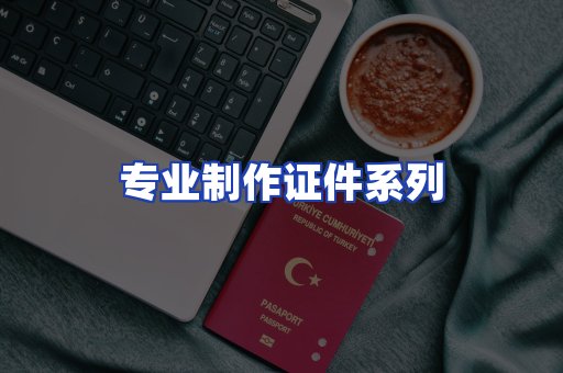 专业制作证件系列